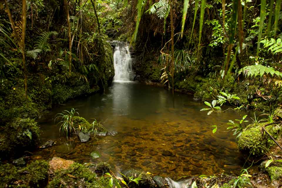 Waterfall in the Pupu Rangi Nature Sanctuary