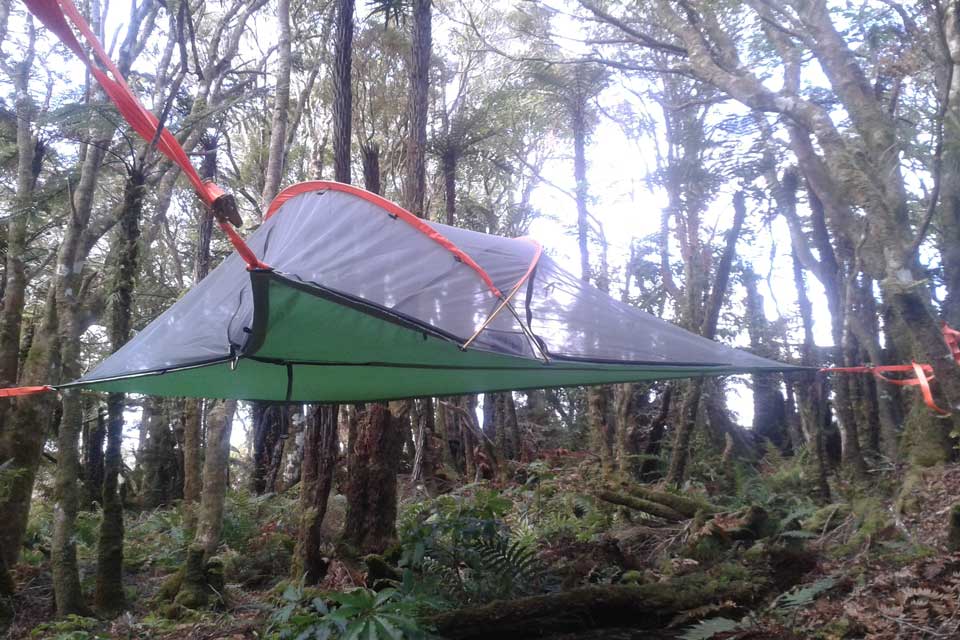 Tree tent in the Pupu Rangi Nature Sanctuary